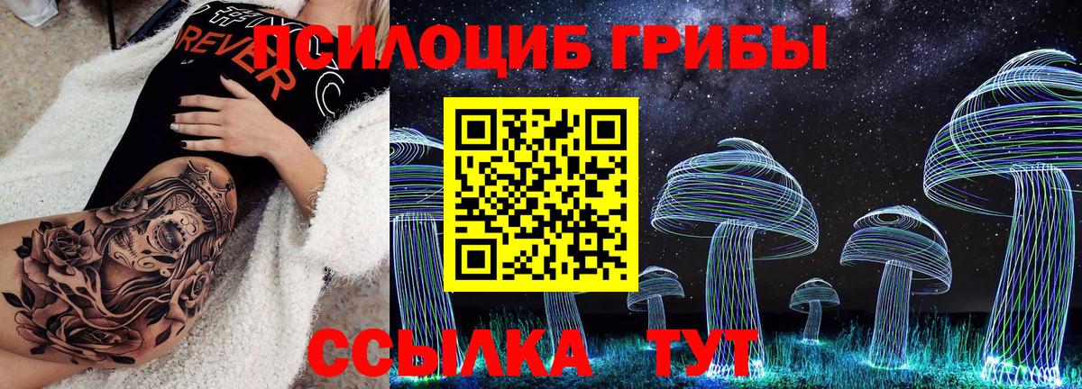 Жуковский  Псилоцибиновые грибы мухоморы  Вход с VPN 